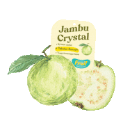 Orange Comida Sticker by Frui Indonesia