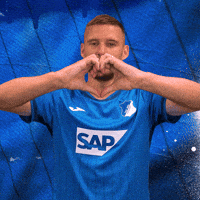 Pavel Kaderabek Sport GIF by TSG Hoffenheim