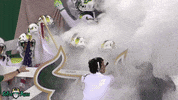 Usf Football GIF by SoFloBulls