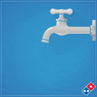 GIF by Domino's Pizza