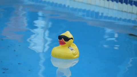 Rubber Duck Hml408 GIF by truTVs Hack My Life