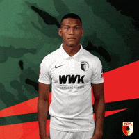 Football Bundesliga GIF by FC Augsburg 1907