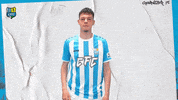 Dance Football GIF by ChemnitzerFC