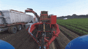 ASA-LIFT vegetables onion harvest carrots GIF