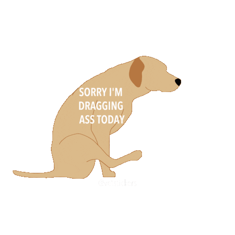 lovehuvet giphyupload ass drag vet Sticker