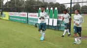 felicidade jÃ³ia GIF by SE Palmeiras