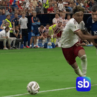 Sb Rabiot GIF by Sporbulteni