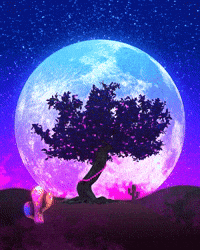 ImagiNah trippy night aesthetic moon GIF