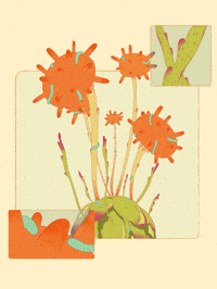 fromcecily animation plant 2danimation posterdesign GIF