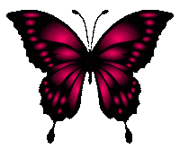 Butterfly Sticker