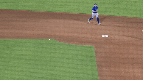 Blue Jays Baseball GIF by Toronto Blue Jays
