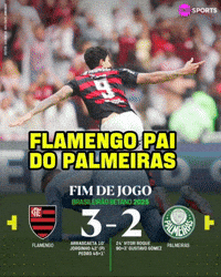 Palmeiras GIF
