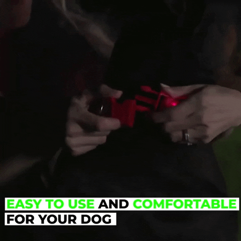 ForTheMinimalist giphygifmaker GIF