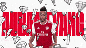 arsenal football soccer london premier league GIF