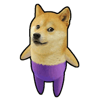 If You Know You Know Shiba Inu Sticker