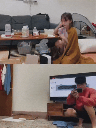 cuteanimalland giphyupload GIF