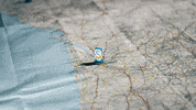 Steeplefr GIF by Les gifs de Steeple