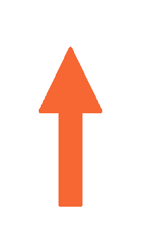 Arrow Sticker by Clemson University