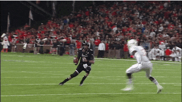 cincinnati bearcats football GIF by University of Cincinnati Athletics