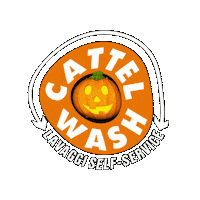 Halloween Scream Sticker by CATTELWASH