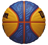 3X3Chile Sticker by LincolnCollegeChile