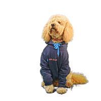 PetsBest dog puppy pet doodle Sticker