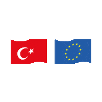 youthprojectsgroup turkiye turk ab erasmus Sticker