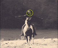 Vhs Crypto GIF by ZEDRUN
