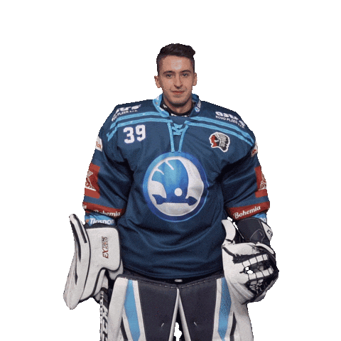 Hockey Hokej Sticker by HC Škoda Plzeň