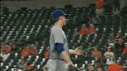 sport bump GIF by MLB