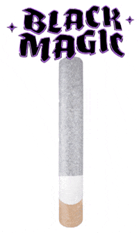 Black Magic Wiz GIF by Wizard Trees