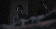 Alex Wolff Pig GIF by NEON