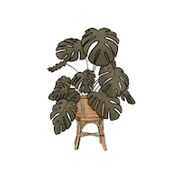 Boho Monstera Sticker by Bohoswing