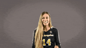 Volleyball Calstatela GIF by Cal State LA Golden Eagles