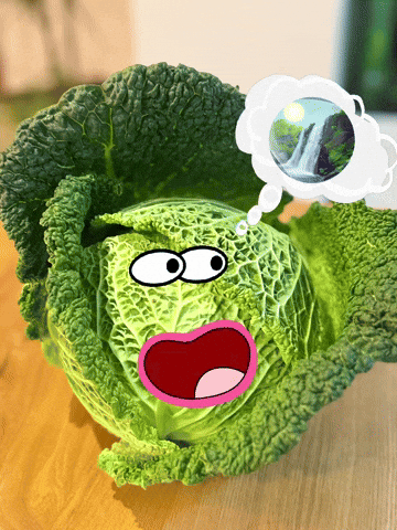 Waterfall Cabbage GIF