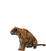 Robert Downey Jr Sticker by Dolittle