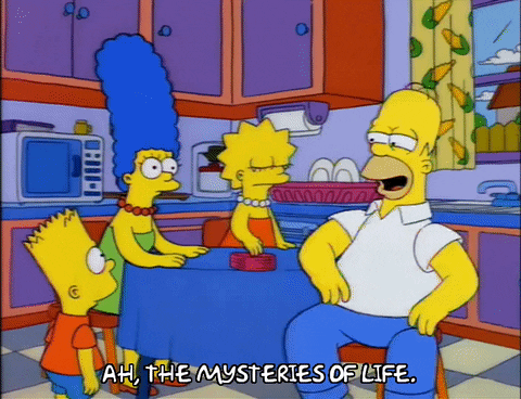 homer simpson GIF