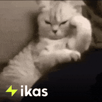 Angry Grumpy Cat GIF by Salih Kizilkaya