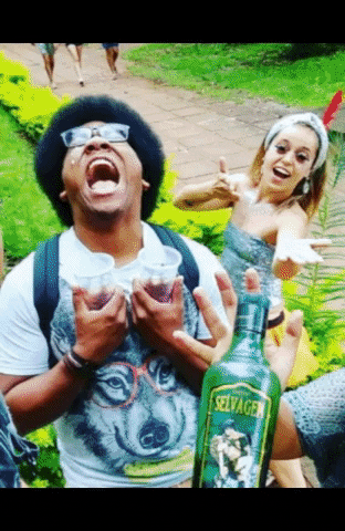 carinnesouza giphyupload GIF