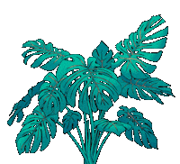 Plants Monstera Sticker by feey.pflanzen