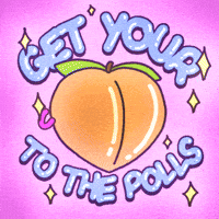 Voting Election 2020 GIF by INTO ACTION