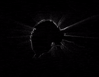 MezcalElSilencio black magic rabbit god GIF