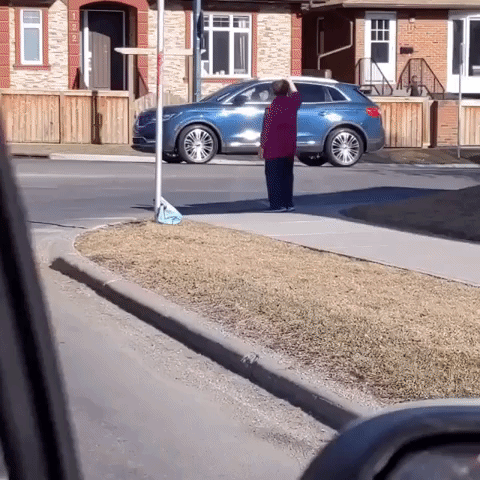 Calgary Senior Doles Out Daily Kindness on Neighborhood Street Corner