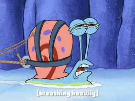 season 8 frozen face-off GIF by SpongeBob SquarePants