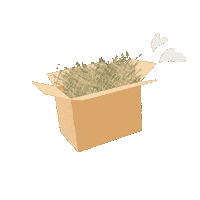 Bunny Rabbit Sticker