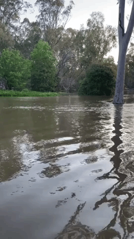 Australian Flooding Leaves Hundreds Without Power in Victoria