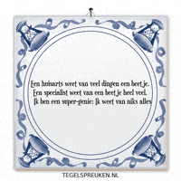 Genie Wijsheid GIF by Tegelspreuken.nl