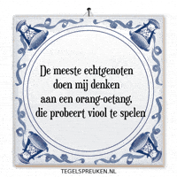 Humor Nl GIF by Tegelspreuken.nl