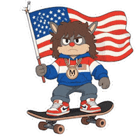 United States Celebration Sticker