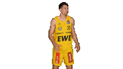 Ewe Baskets Sport Sticker by EWE Baskets Oldenburg